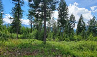 Bootlegger Lane- Parcel 1, Bonners Ferry, ID 83805