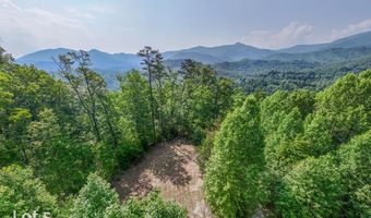 1200 Tobacco Branch Rd, Almond, NC 28702