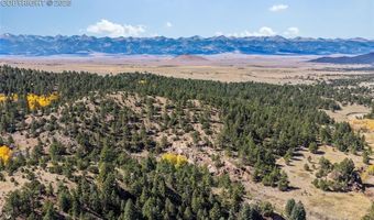 838 County Road 260, Westcliffe, CO 81252
