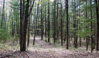 5826 S Morrison Rd, Alger, MI 48610