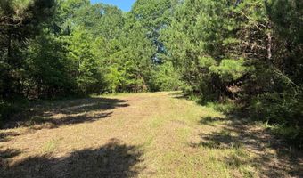 64 47 Ac Old Faceville Rd, Bainbridge, GA 39819