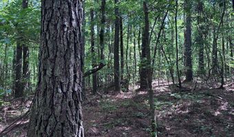 North Palestine Road, Baldwyn, MS 38824