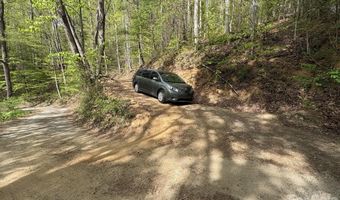 999999 Harwood Rd, Barnardsville, NC 28709