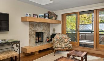 1020 E Hopkins Ave 9, Aspen, CO 81611
