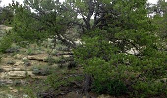 nhn Cottonwood Road, Bridger, MT 59014