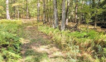 237 Halls Pond Rd, Charlestown, NH 03603