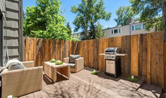 725 E Main St 107, Aspen, CO 81611