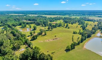 530 MS-15, Blue Mountain, MS 38610