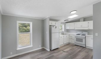5343 LAKEVIEW, Alanson, MI 49706