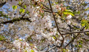 6747 APPLEMINT Ln, Alexandria, VA 22310