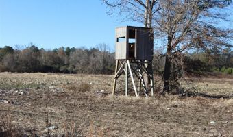 Highway 3, Blackville, SC 29817