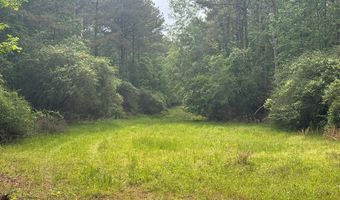 2780 Jackson Liberty Rd, Bogue Chitto, MS 39629