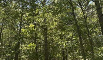 Lot 27 Honeysuckle Trail, Lincolnton, GA 30817