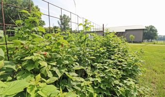 7750 Pine Rd, Arena, WI 53503