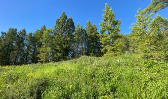 400 GROVER DRY FARM Rd, Afton, WY 83110