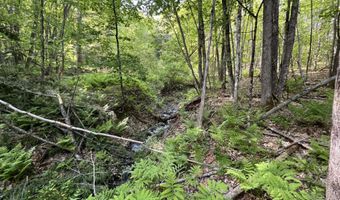Map17-Lot 31 & 33 River Road, Bath, NH 03740