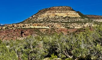 TBD X4 Road, Bedrock, CO 81411
