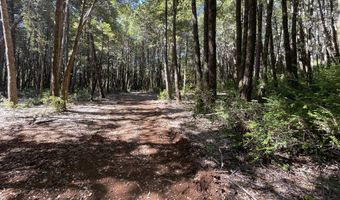 Agness-Illahe Rd, Agness, OR 97406