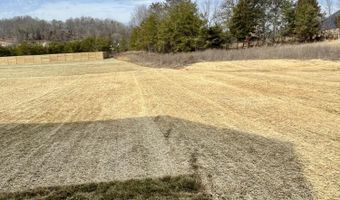 419 Eastland Park Dr, Blaine, TN 37709