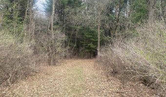 42 53A COUNTY ROAD Q, Amherst Junction, WI 54407