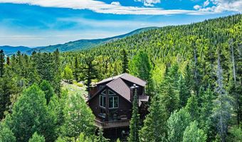 518 Meadow Mountain Dr, Allenspark, CO 80510