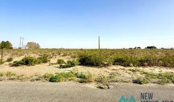 Mcfarland Road, Carlsbad, NM 88220