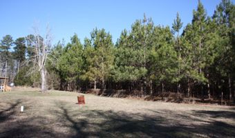 2650 Joe Miley Rd, Brunson, SC 29911
