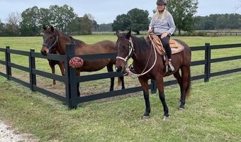 294 Nates Store Rd, Cameron, SC 29030