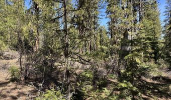 Horned Owl Way 385461, Bonanza, OR 97623