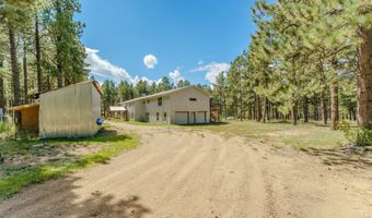 41 Susan Ln, Angel Fire, NM 87710