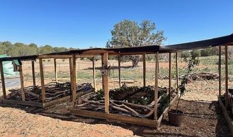 Lot 102 Raz Road, Ash Fork, AZ 86046