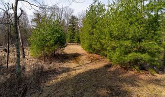 Dover Drive lot 2 +/-43 Ac, Adams, WI 53910