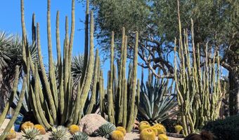 37222 N TOM DARLINGTON Dr 1, Carefree, AZ 85377