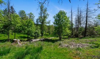 16584 S WINDY CITY Rd, Mulino, OR 97042