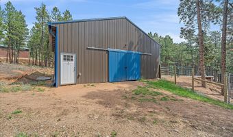 104 Six Bits St, Bailey, CO 80421