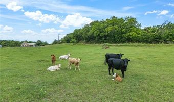 1185 County Road 1590, Alvord, TX 76225
