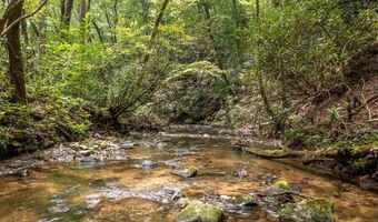 1034 Chestnut Flats Rd, Andrews, NC 28901