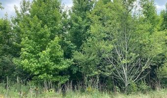 Lot 1-B Daniels Lane, Bennettsville, SC 29512