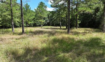 Highway 112, Abbeville, GA 31001
