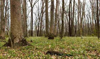 Lot 224 Mossy Trail, Morton, IL 61550