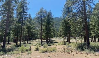 3355 Golf Club Dr 97, Carson City, NV 89705