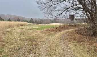 0 Duncan Rd, Alvaton, KY 42122