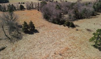 000 County Road 413, Alton, MO 65606