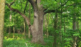 65 Acres 107th Ave, Allegan, MI 49010
