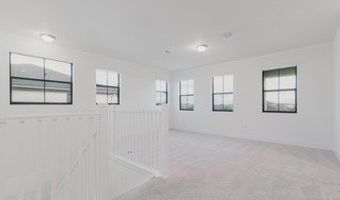 5040 Frattina St, Ave Maria, FL 34142