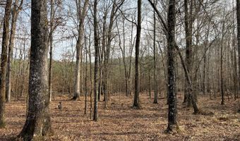 Cunningham Road, Bradley, SC 29819