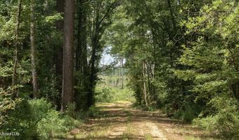 Ebenezer Church Road, Bassfield, MS 39421