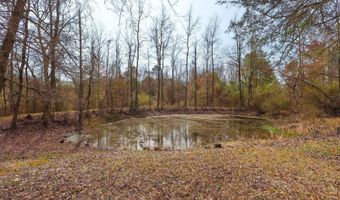 9 Bear Creek Rd, Amity, AR 71921