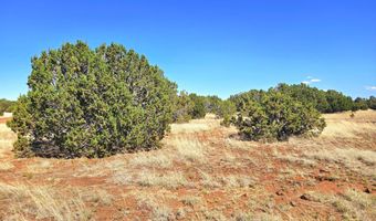 20 CO Rd, Concho, AZ 85924