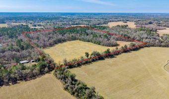 NW County Road 22, Alachua, FL 32615